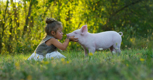 cruelty free makeup